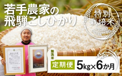 ≪先行予約≫令和6年産【無洗米】米 定期便 こしひかり 特別栽培米 5kg×6か月 合計30kg 若手受賞農家 池本農園 こだわりのお米 syun110