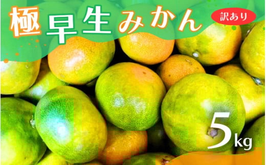 【2025年秋頃発送予約分】【訳あり】こだわりの極早生みかん 約5kg ※2025年10月上旬より順次発送予定（お届け日指定不可） 有機質肥料100% サイズ混合  有田産【nuk165A】 2208052 - 和歌山県新宮市