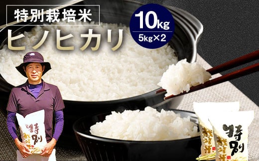 【令和6年産】 相良村産 特別栽培米 ヒノヒカリ 10kg 【2024年10月下旬～2025年10月下旬発送予定】 お米 白米 精米 1456442 - 熊本県相良村