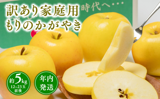 年内発送【訳あり】家庭用 もりのかがやき 約5kg【青森県 平川市 那由多のりんご園】希少品種 家庭用 青森 青森県産 平川 りんご リンゴ 林檎 くだもの 果物 フルーツ 