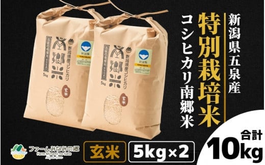 令和6年産 特別栽培米 新潟県五泉産コシヒカリ「南郷米」玄米10kg 新潟県 五泉市 ファームみなみの郷 1005812 - 新潟県五泉市