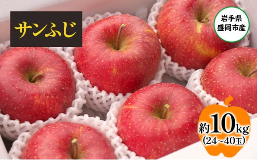 【11月から発送】 りんご 盛岡から「農で人をつなぐ」藤与果樹園： サンふじ 約10kg 24～40玉 玉数指定不可 詰め合わせ 岩手 盛岡 1441222 - 岩手県盛岡市