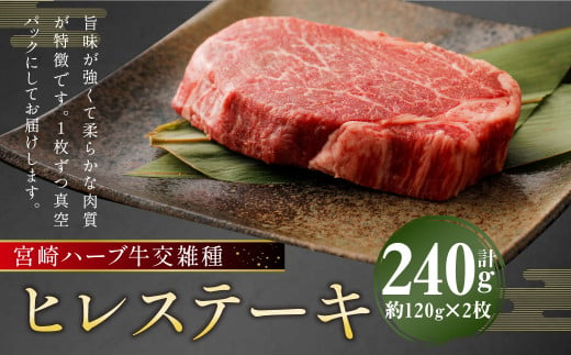 宮崎 ハーブ牛 交雑種 ヒレステーキ 約240g （ 約120g ✕ 2枚 ） 肉 お肉 牛 牛肉 ヒレ ステーキ 冷凍 国産 1433440 - 熊本県人吉市