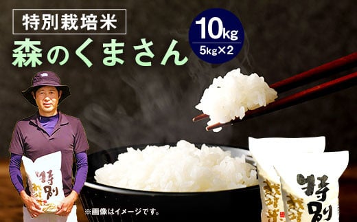 【令和6年産】 相良村産 特別栽培米 森のくまさん 10kg 【2024年10月下旬～2025年10月下旬発送予定】 お米 白米 精米 1456444 - 熊本県相良村