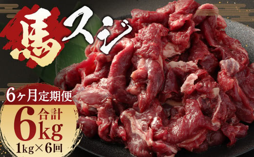 【 6ヶ月 定期便 】 馬スジ 1kg （ 500g × 2パック ） 合計 6kg 冷凍 肉 お肉 馬肉 馬 スジ肉 スジ 煮込み 煮物 熊本 1403999 - 熊本県人吉市