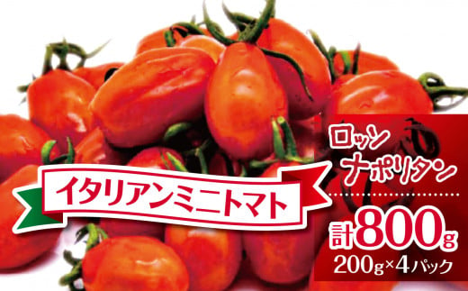 【2025年先行予約】イタリアンミニトマト　ロッソナポリタン800g| 鈴木アル・ファーム  野菜 トマト ミニトマト プチトマト トマト 高リコピン 小分け とまと 千葉 君津 きみつ 1441919 - 千葉県君津市