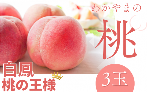 【予約受付】桃の王様 白鳳 <特秀品> うれしい食べきり容量 3玉 2025年6月末頃～2025年7月末頃に順次発送予定（お届け日指定不可）/ 桃 もも 白鳳 フルーツ 果物 くだもの 【kgr010】 1440363 - 和歌山県太地町