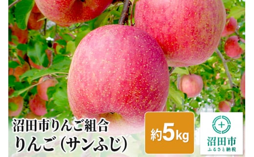 《2024年12月上旬以降発送》沼田市りんご組合 りんご（サンふじ）約5kg 群馬県沼田市 246732 - 群馬県沼田市