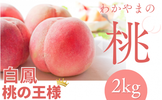 【予約受付】桃の王様 白鳳 <特秀品> 約2kg（6個~9個） 2025年6月末頃～2025年7月末頃に順次発送予定（お届け日指定不可）/ 桃 もも 白鳳 フルーツ 果物 くだもの 【kgr009】 1440362 - 和歌山県太地町