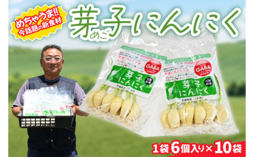 【先行予約】話題の新食材！芽子にんにく 1箱（1袋6個入り×10） 芽も根もまるごと食べられる！【ニンニク ガーリック GABA ギャバ レーアミノ酪酸 臭わない スタミナ 話題 免疫 健康 元気 茨城県産 水戸市】（KJ-3） 1440168 - 茨城県水戸市