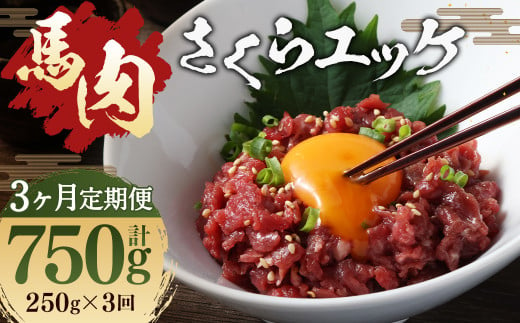 [ 3ヶ月 定期便 ] 馬肉 さくらユッケ250g ( 50g × 5パック) 合計 750g 肉 お肉 馬 桜 桜ユッケ さくら ユッケ 生 生ユッケ 冷凍