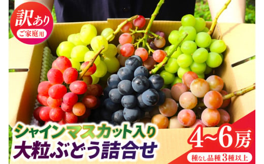 ＼訳あり ご家庭用／シャインマスカット入り 大粒ぶどうの詰合せ 4~6房 (約2.3kg) 種なし品種 3品種以上【農家さんおまかせ】 (DM002) 1442747 - 岩手県紫波町