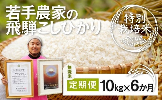 ≪先行予約≫令和6年産【無洗米】米 定期便 特別栽培米コシヒカリ 10kg×6ヶ月 合計60㎏ 池本農園 若手受賞農家のこだわりのお米  syun111