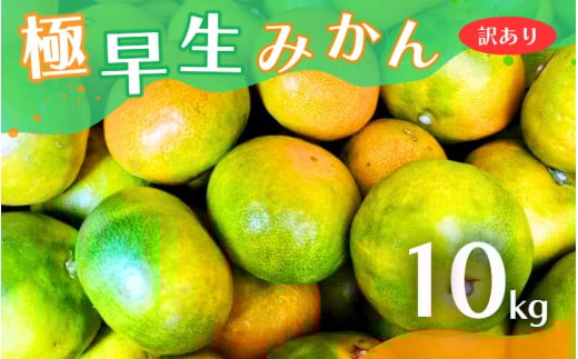 【2025年秋頃発送予約分】【訳あり】こだわりの極早生みかん 約10kg ※2025年10月上旬より順次発送予定（お届け日指定不可） 有機質肥料100% サイズ混合  有田産【nuk167A】