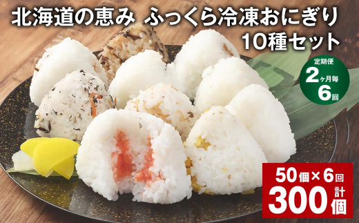 【2ヶ月毎6回定期便】 北海道の恵み ふっくら冷凍おにぎり 10種セット 50個✕6回 計300個 米 お米 おにぎり