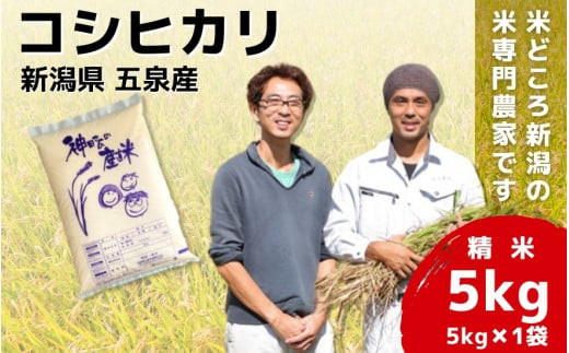 令和6年産 新米「わくわく農場」の新潟県五泉産コシヒカリ 精米 5kg（5kg×1袋）新潟県 五泉市 わくわく農場 620699 - 新潟県五泉市