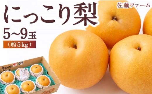 佐藤ファーム にっこり梨 5玉から9玉 (約5kg) 2024年10月中旬から10月下旬 出荷予定