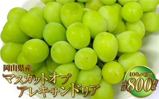 岡山県産 マスカットオブアレキサンドリア 約800g（400g×2房） 【2025年8月下旬～9月下旬迄発送予定】 果物 くだもの フルーツ ぶどう ブドウ 葡萄 マスカット