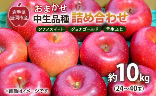 【10月から発送】 りんご 盛岡から「農で人をつなぐ」藤与果樹園：おまかせ中生品種詰め合わせ（ シナノスイート ジョナゴールド 早生ふじ ）約10kg 24～40玉 玉数指定不可 詰め合わせ 岩手 盛岡 1441186 - 岩手県盛岡市