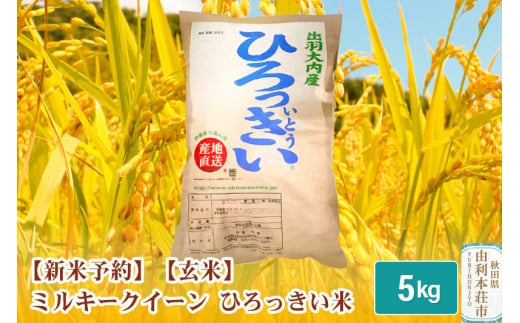 《新米予約》【玄米】 秋田県産 ミルキークイーン 5kg 令和6年産 ひろっきい米 418331 - 秋田県由利本荘市