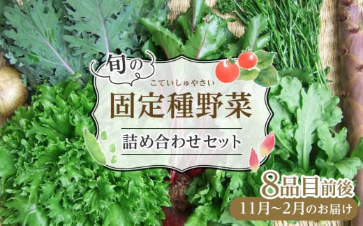 野菜［2024年先行予約］旬の固定種野菜 バイオダイナミック農業 8品目前後（11月～2月のお届け）常温配送 