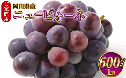 ご家庭用 岡山県産 ニューピオーネ 約600g（600g×1房） 【2025年8月下旬～9月下旬迄発送予定】 果物 くだもの フルーツ ぶどう ブドウ 葡萄