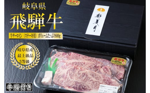 A5等級 飛騨牛サーロインステーキ800g（200g×4枚）（牛脂付き）[No.950]  ／ 牛肉 ブランド 高品質 やわらか 岐阜県 特産品 1442424 - 岐阜県山県市