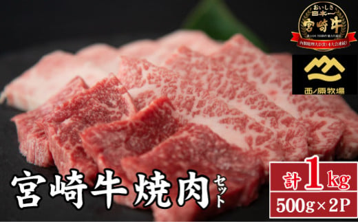 【A4等級以上】宮崎牛おためし焼肉 500g×2P（国産 牛肉 肉 宮崎牛 黒毛和牛 モモ ウデ  焼肉 人気 特別提供） 1158735 - 宮崎県小林市