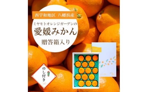 西宇和地区八幡浜産 愛媛みかん＜贈答用＞15個入り　のし付き＜C25-167＞【1536565】