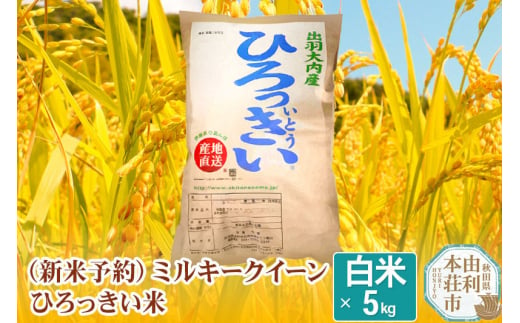 《新米予約》【白米】 秋田県産 ミルキークイーン 5kg 令和6年産 ひろっきい米 418332 - 秋田県由利本荘市