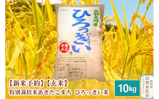 《新米予約》【玄米】 秋田県産 あきたこまち 10kg 令和6年産 特別栽培米 ひろっきい米 418333 - 秋田県由利本荘市