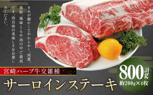 宮崎 ハーブ牛 交雑種 サーロインステーキ 約800g ( 約200g × 4枚 ) 肉 お肉 牛 牛肉 サーロイン ステーキ 冷凍 国産