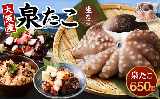 大阪産 泉タコ （生たこ） 650g （1杯～3杯）×1袋 魚介類 海鮮 タコ 冷凍