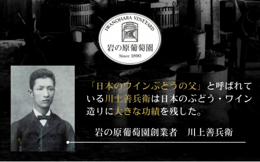 酒 岩の原ワイン 善 ハーフサイズ6本セット（ 赤 ×2本 白 ×2本 ロゼ ×2本 各360ml） ワイン 新潟 上越 -  新潟県上越市｜ふるさとチョイス - ふるさと納税サイト