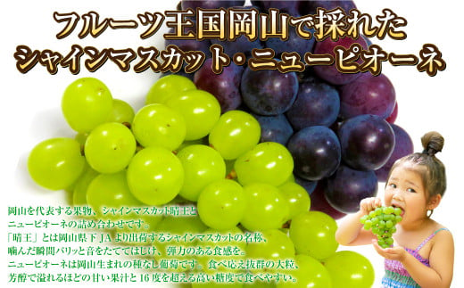 岡山県産 シャインマスカット「晴王」とニューピオーネ 3Lサイズ 計約1.2kg 【2024年8月下旬～9月下旬迄発送予定】 くだもの フルーツ  詰め合わせ ぶどう - 岡山県奈義町｜ふるさとチョイス - ふるさと納税サイト