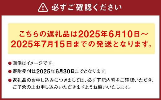 熊本県産 スイートコーン ミルキースイーツ 約5kg とうもろこし やさい 野菜 トウモロコシ 【2025年6月上旬発送開始】 -  熊本県｜ふるさとチョイス - ふるさと納税サイト