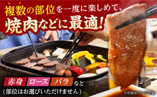 【訳あり】佐賀牛 焼肉セット 1kg 佐賀牛 赤身 バラ ロース 焼肉 焼き肉 ロース 切り落とし 不揃い