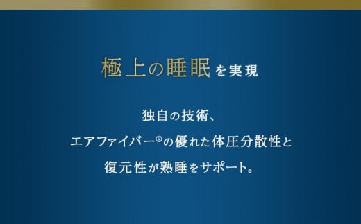 愛知県大府市のふるさと納税 エアウィーヴ ピロー スタンダード 枕 寝具 まくら マクラ 睡眠 快眠 エアウィーヴ 枕 エアウィーブ 大府市 BD001