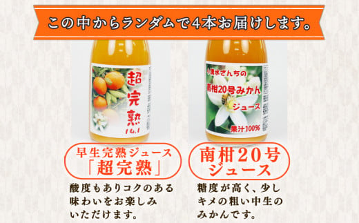 みかんジュース 720ml × 4本 小清水農園 ストレートジュース 100%ジュース 果汁 飲料 柑橘 みかん 蜜柑 mikan 愛媛みかん ピュア  果物 くだもの フルーツ 農家直送 産地直送 数量限定 国産 愛媛 宇和島 H012-033001 / 愛媛県宇和島市 | セゾンのふるさと納税