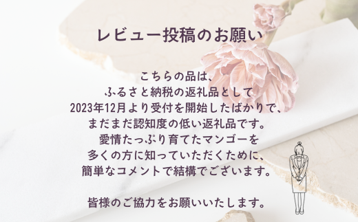 沖縄県中城村のふるさと納税 ≪2025年発送≫ 護佐丸マンゴー【訳あり】3～6個入り（約1.2kg）