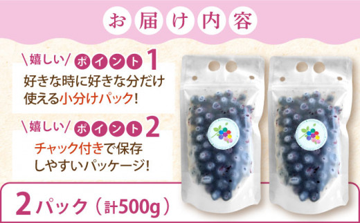 【厳選】高品質へのこだわり 冷凍ブルーベリー 500g【いきつきブルーベリー園 moon berry’s kitchen】 