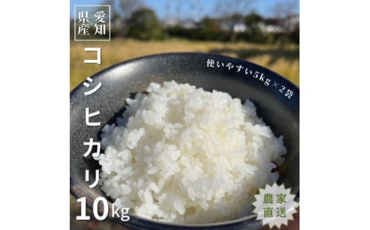 ＜先行受付中＞農家直送!令和6年度産低農薬コシヒカリ10kg(5kg×2袋)【1428167】 1036909 - 愛知県岡崎市