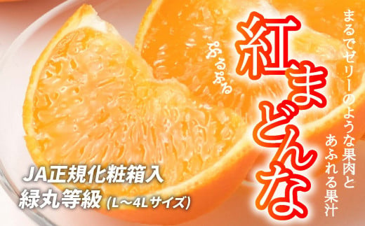 [先行予約]紅まどんな 化粧箱(L〜4L)等級 緑丸 約2.5kg 〜 約3kg 愛媛産 愛媛県産 国産 愛媛みかん 愛媛蜜柑 愛媛ミカン みかん ミカン mikan 蜜柑 柑橘 フルーツ 果物 くだもの 高級 お取り寄せ 産地直送 数量限定 人気 おすすめ 愛媛県 松山市 送料無料