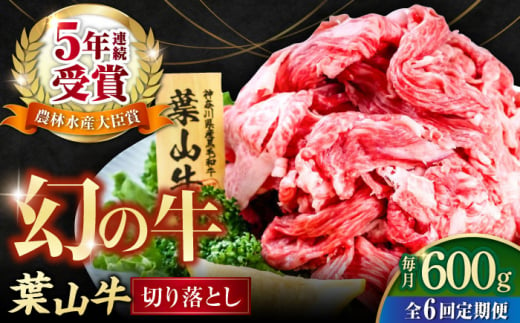 【全6回定期便】葉山牛 切り落とし300g×2パック 小分け 牛肉 切り落とし 横須賀 冷凍 計600g【株式会社羽根】 [AKAG028] 1529327 - 神奈川県横須賀市