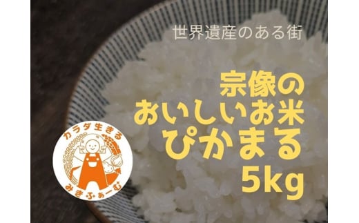 【定期便/毎月お届け/全6回】むなかた産 米 ぴかまる5kg【みきふぁーむ】_HB0169 1455126 - 福岡県宗像市