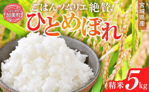 新米 精米 令和6年産 宮城県産ひとめぼれ 5kg [菅原商店 宮城県 加美町 ]  | sg00001-r6-5kg 1513252 - 宮城県加美町