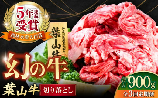 【全3回定期便】葉山牛 切り落とし300g×3パック 小分け 牛肉 切り落とし 横須賀 冷凍  計900g【株式会社羽根】 [AKAG030] 1529329 - 神奈川県横須賀市