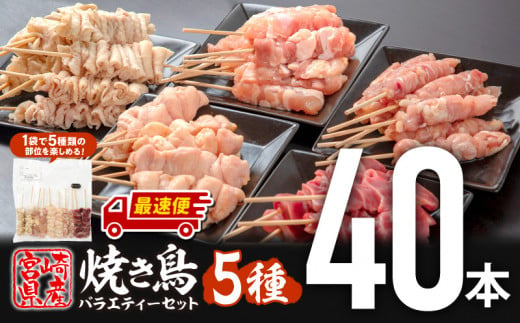 [発送期日が選べる]宮崎県産若鶏 焼き鳥5種(40本) バラエティーセット_M146-015-SKU