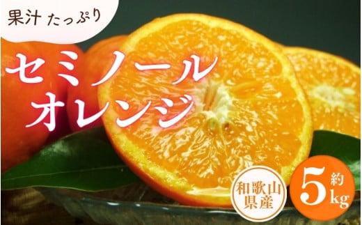 セミノールオレンジ 約5kg/サイズおまかせ　※2025年4月中旬～2025年5月下旬頃に順次発送予定(お届け日指定不可)　紀伊国屋文左衛門本舗【ntbt481A】 858265 - 和歌山県太地町