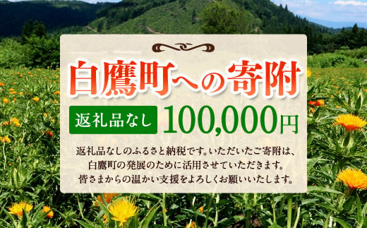 白鷹町への寄附（返礼品はありません） 100,000円 山形県 白鷹町 返礼品なし 1442257 - 山形県白鷹町